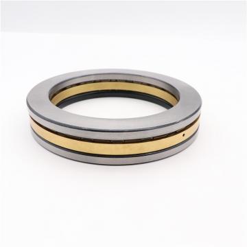 Scheerer TB-8009 Thrust Cylindrical Roller Bearing