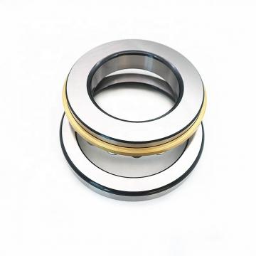 FAG 10-6061 Pumps Propeller Shaft bearing