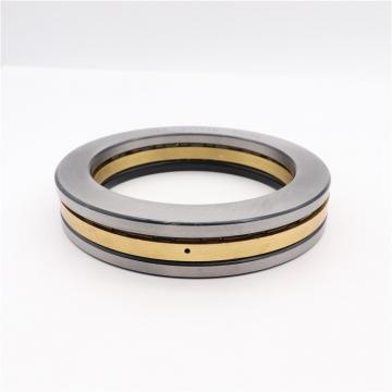 Scheerer 11055-RT Thrust Cylindrical Roller Bearing